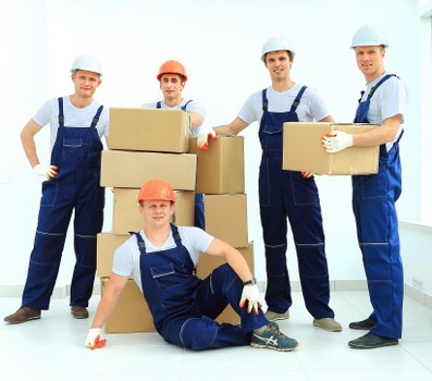 Selection of sturdy moving boxes and protective packing materials