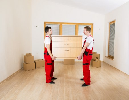 Moving company staff checking damage report details